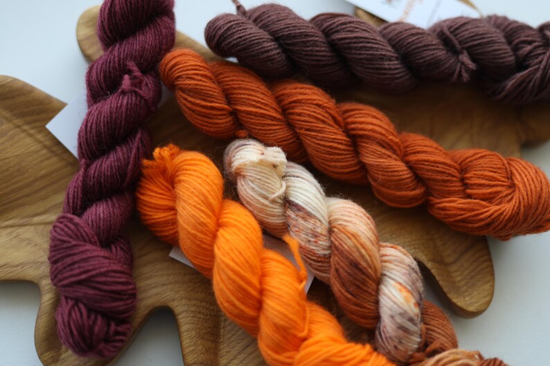 Hand dyed autumn mini skein set in pumpkin orange, rust, burgundy and brown shades, fingering weight wool nylon sock yarn for knitting and crochet.