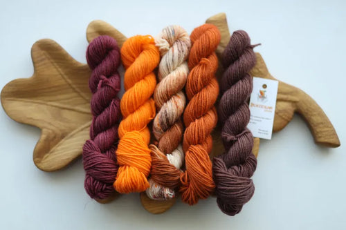 Hand dyed autumn mini skein set in pumpkin orange, rust, burgundy and brown shades, fingering weight wool nylon sock yarn for knitting and crochet.