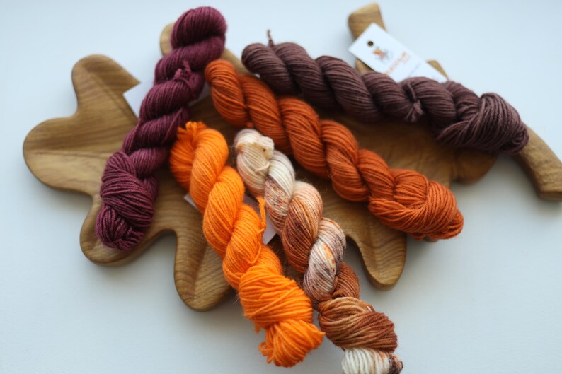 Hand dyed autumn mini skein set in pumpkin orange, rust, burgundy and brown shades, fingering weight wool nylon sock yarn for knitting and crochet.